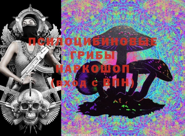 индика Алексеевка