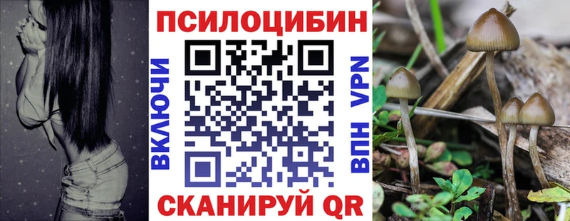 Псилоцибиновые грибы мухоморы  Ставрополь 